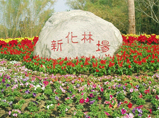 新化林場