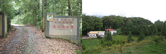 園藝試驗場